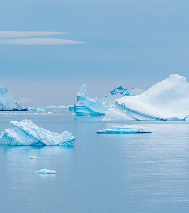 affiche du film Exploration du monde : Plein Sud